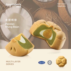 Multi Layer Set C - 4 pcs / 1 Box